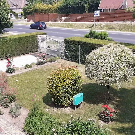 In - Balaton 18809 *