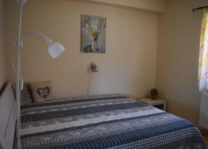 Vakantiehuis In - Balaton 18809 *